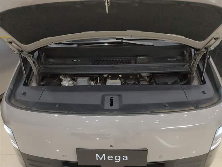 Фото 19 - LiXiang Mega