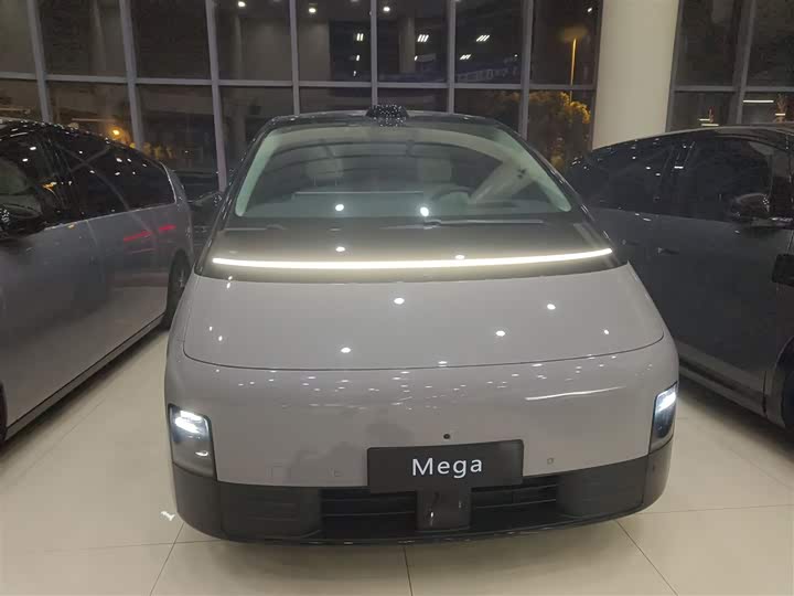 Фото 3 - LiXiang Mega