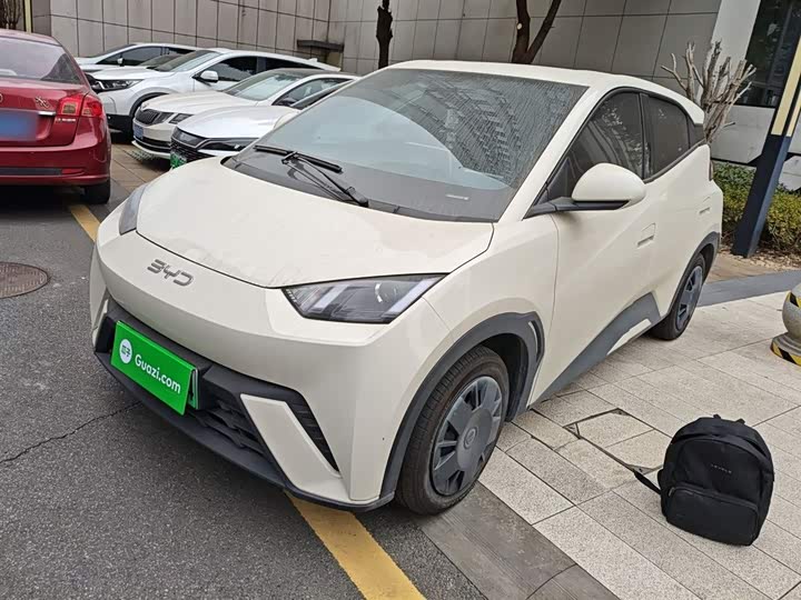 Фото 1 - BYD Seagull