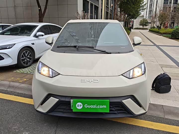 Фото 3 - BYD Seagull