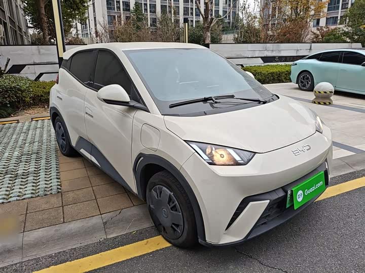 Фото 4 - BYD Seagull