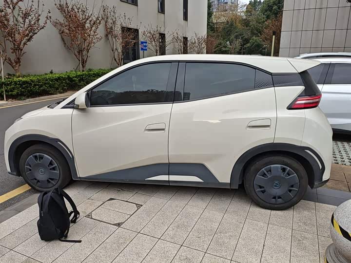 Фото 5 - BYD Seagull