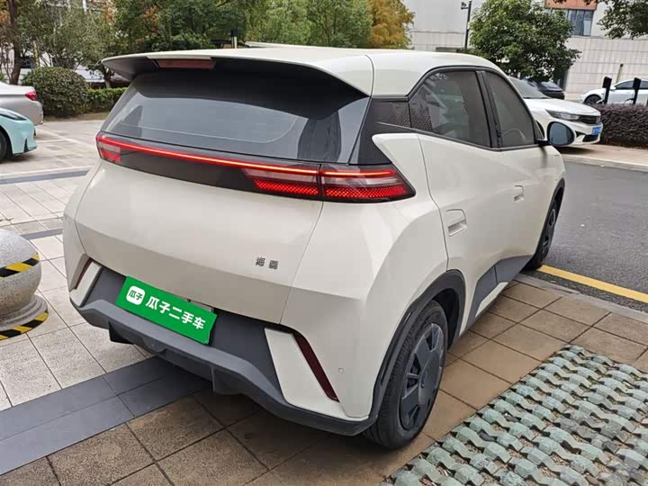 Фото 7 - BYD Seagull