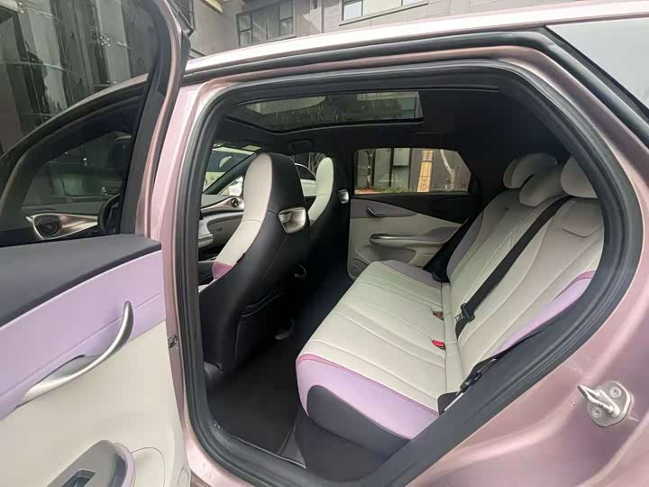 Фото 4 - BYD Dolphin