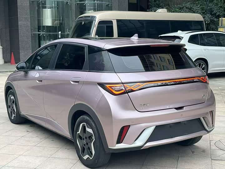 Фото 7 - BYD Dolphin