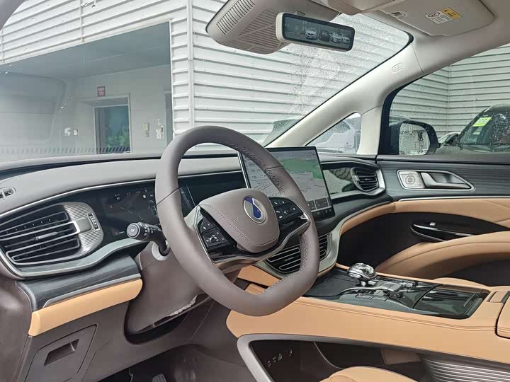 Фото 12 - Denza D9