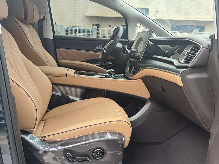 Фото 13 - Denza D9