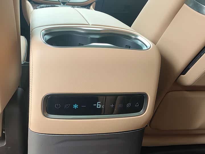 Фото 14 - Denza D9