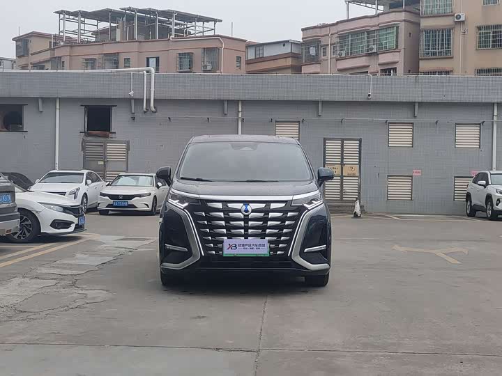 Фото 2 - Denza D9