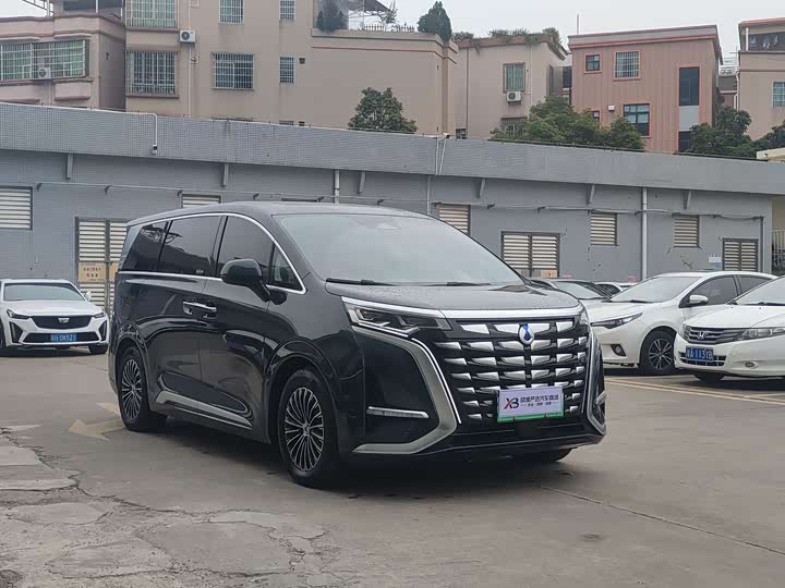 Фото 3 - Denza D9