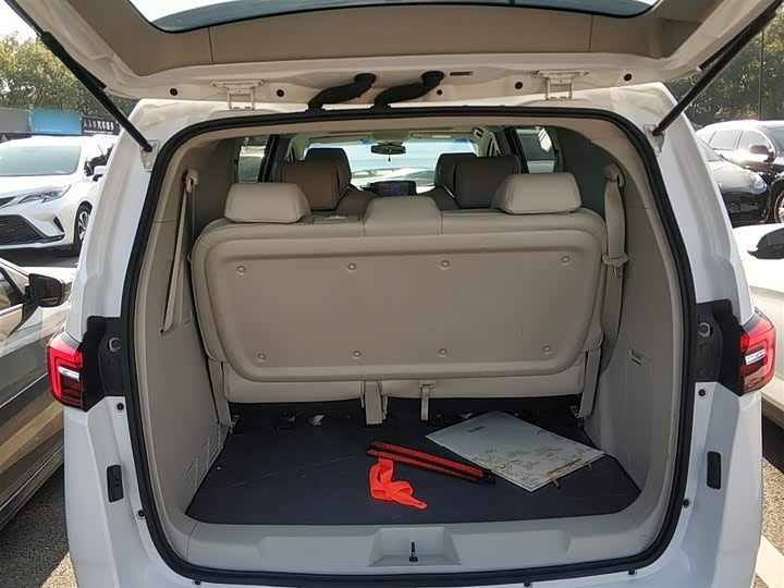 Фото 19 - Buick GL8 ES