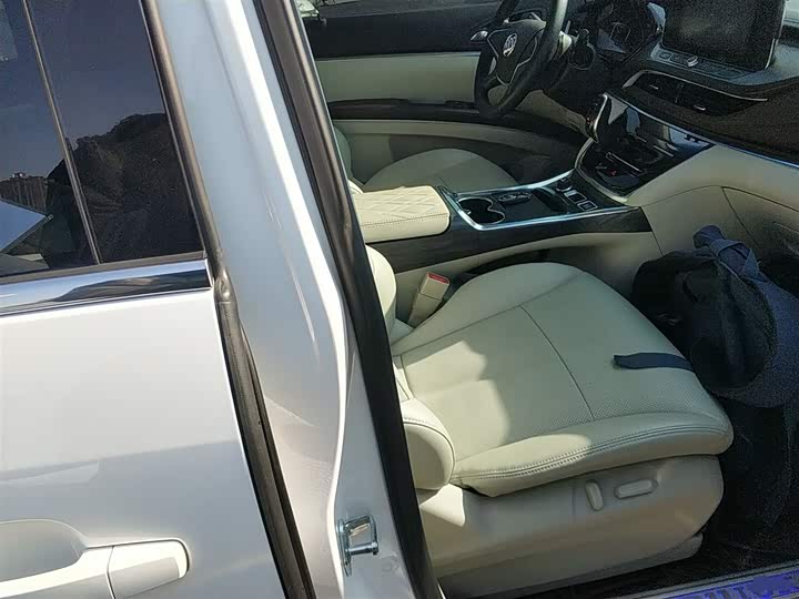 Фото 25 - Buick GL8 ES