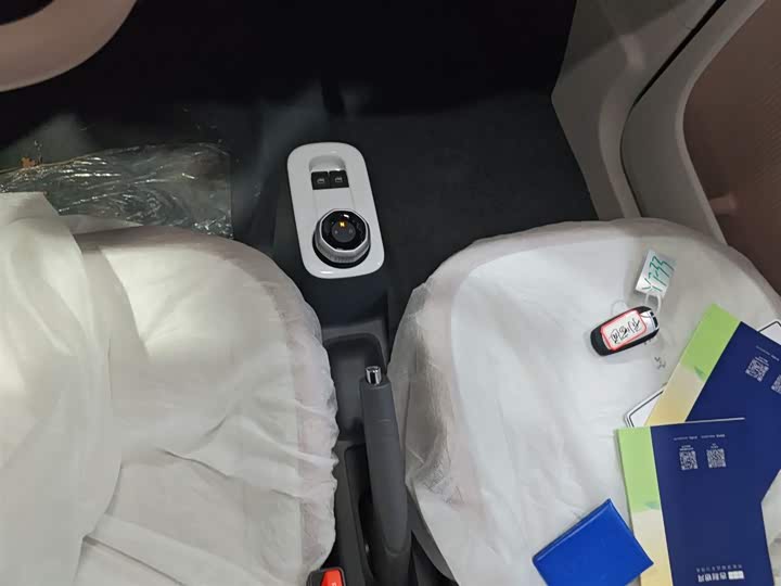 Фото 14 - Geely Galaxy Panda Mini