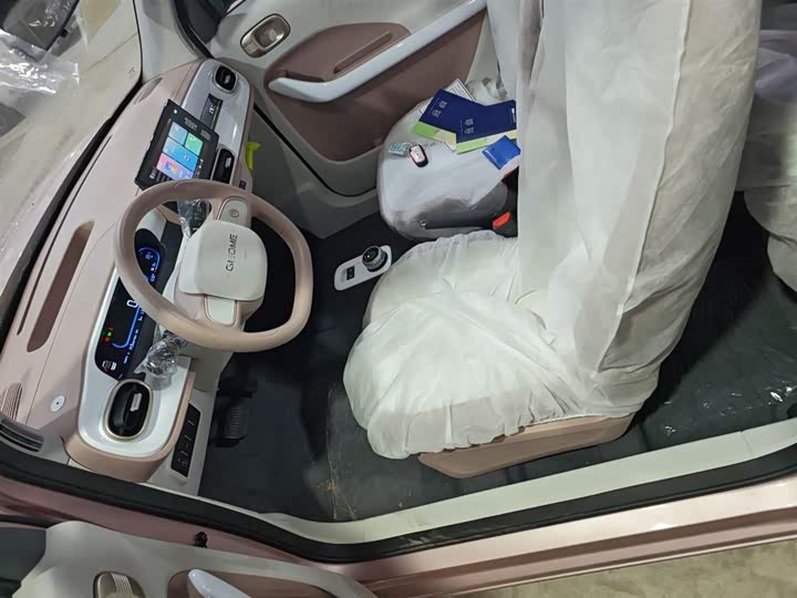 Фото 15 - Geely Galaxy Panda Mini