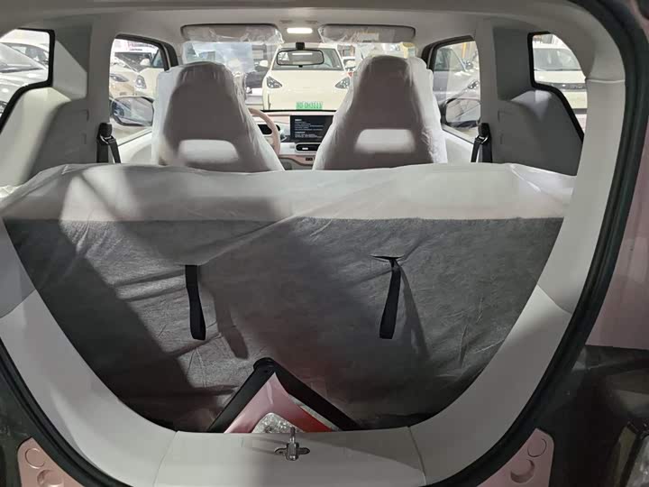 Фото 19 - Geely Galaxy Panda Mini