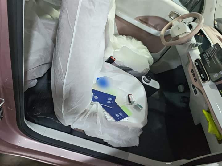 Фото 25 - Geely Galaxy Panda Mini