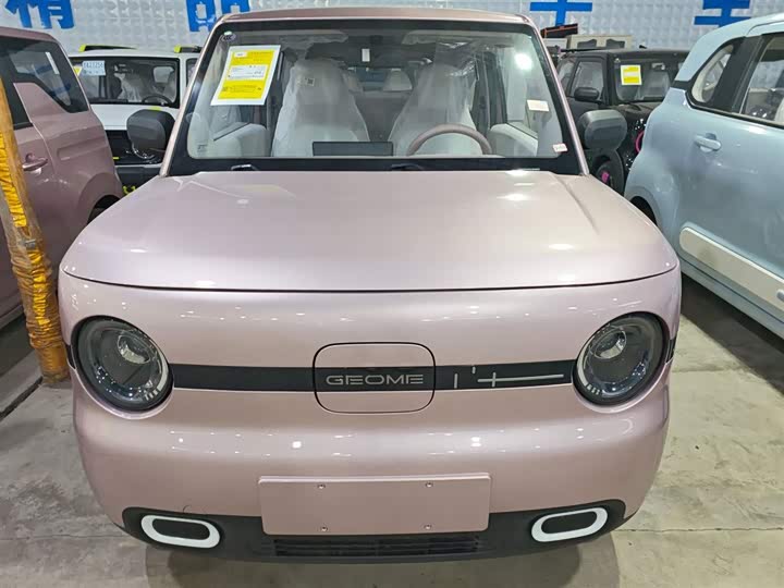 Фото 3 - Geely Galaxy Panda Mini