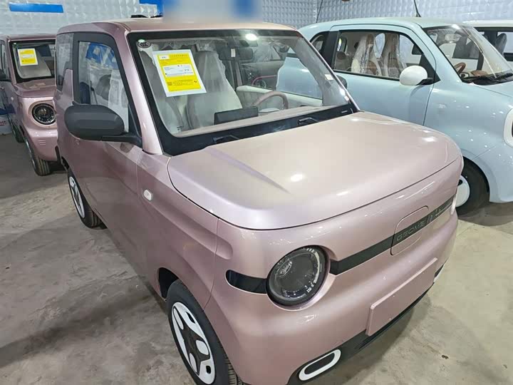 Фото 4 - Geely Galaxy Panda Mini