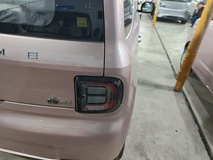 Фото 8 - Geely Galaxy Panda Mini