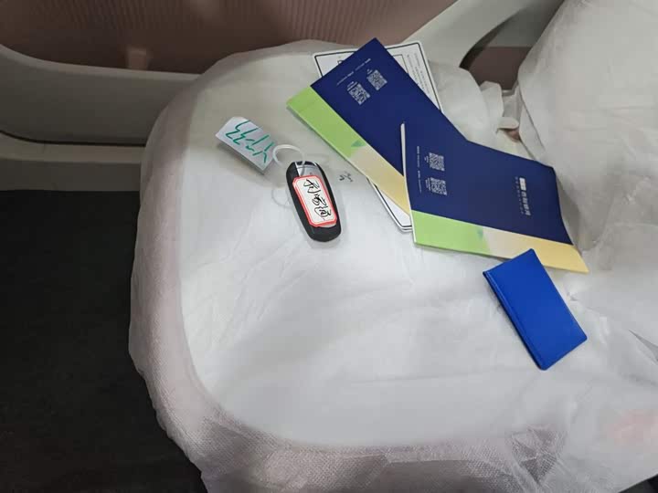 Фото 9 - Geely Galaxy Panda Mini