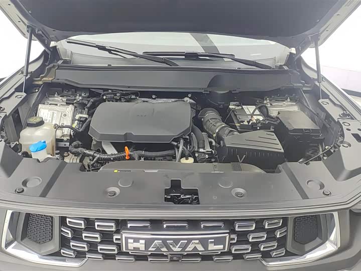 Фото 10 - Haval H-Dog