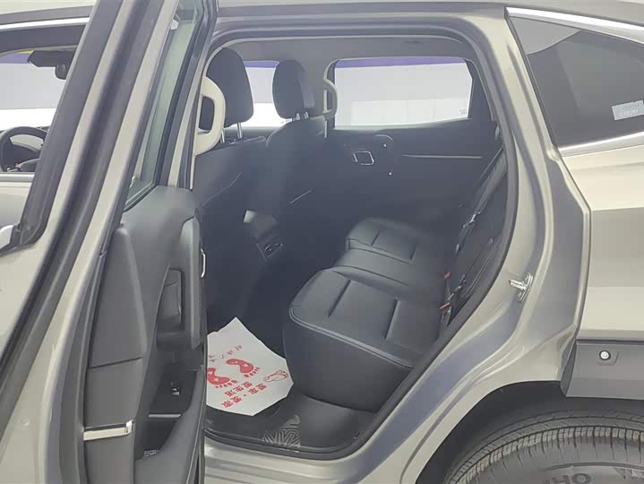 Фото 11 - Haval H-Dog