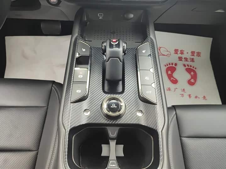 Фото 16 - Haval H-Dog