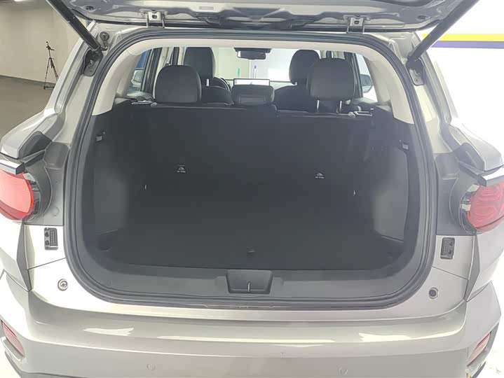 Фото 4 - Haval H-Dog