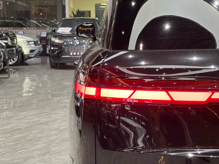 Фото 13 - Denza N9