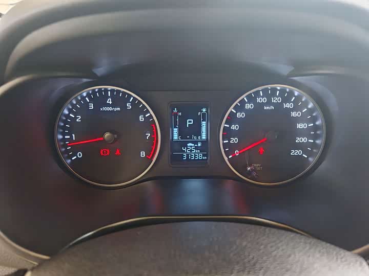 Фото 11 - Kia Pegas