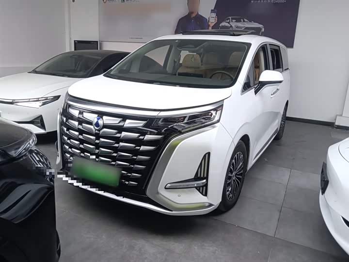 Фото 1 - Denza D9