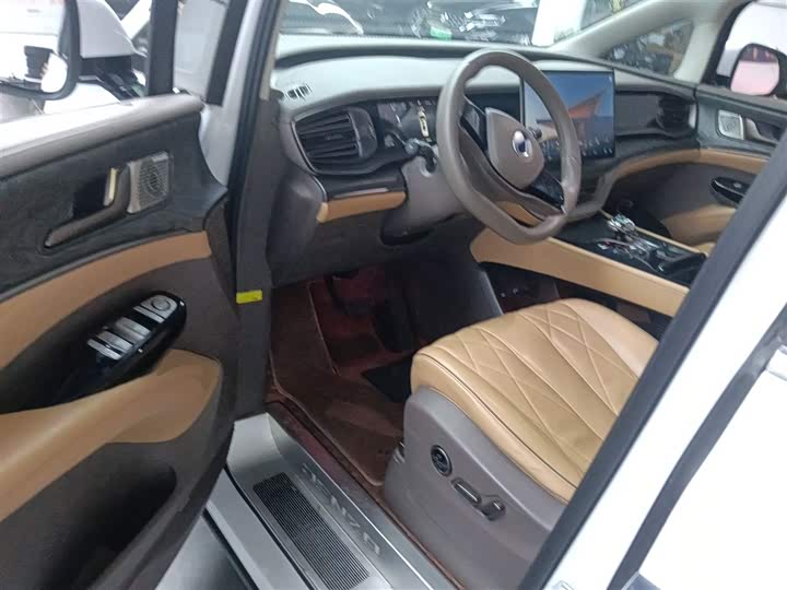 Фото 16 - Denza D9