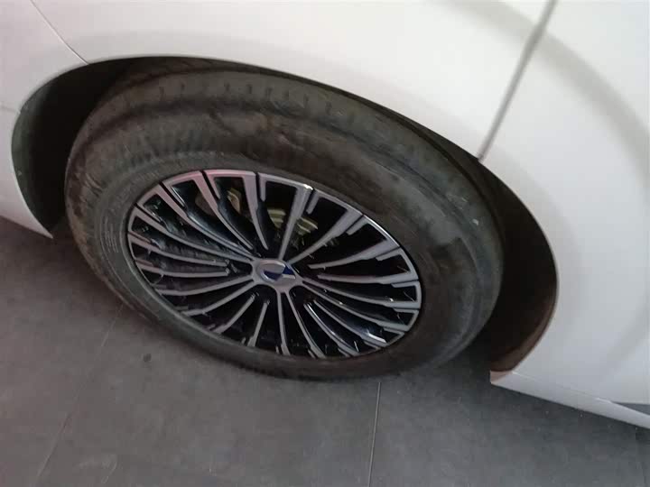 Фото 26 - Denza D9