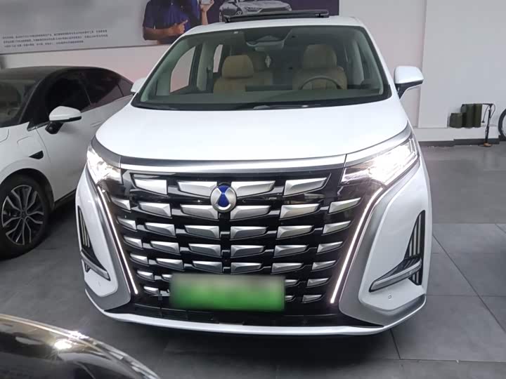 Фото 3 - Denza D9