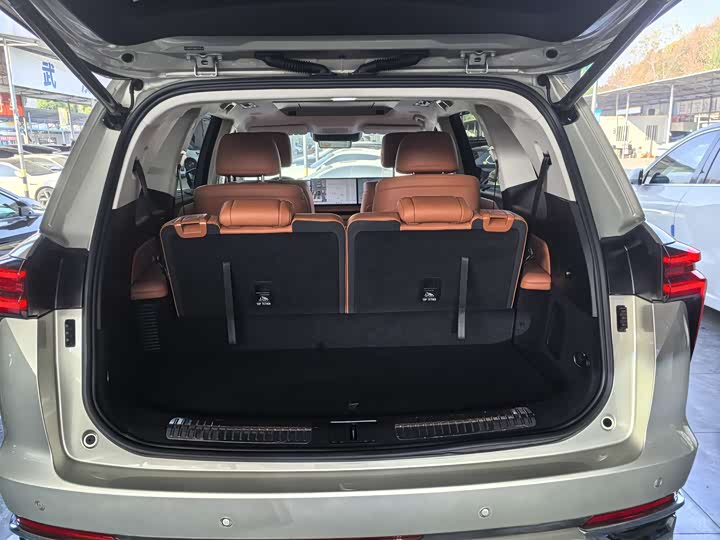 Фото 15 - Wey Lanshan