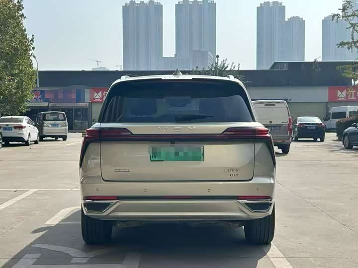 Фото 5 - Wey Lanshan