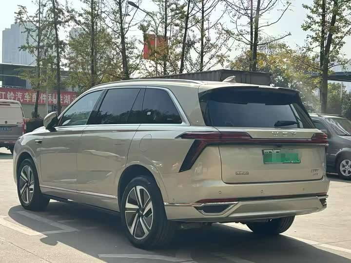 Фото 6 - Wey Lanshan