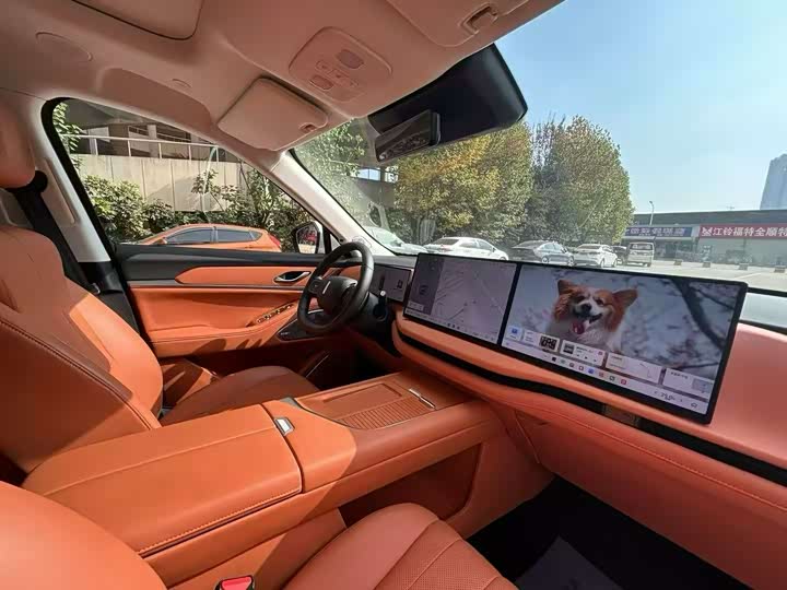 Фото 7 - Wey Lanshan