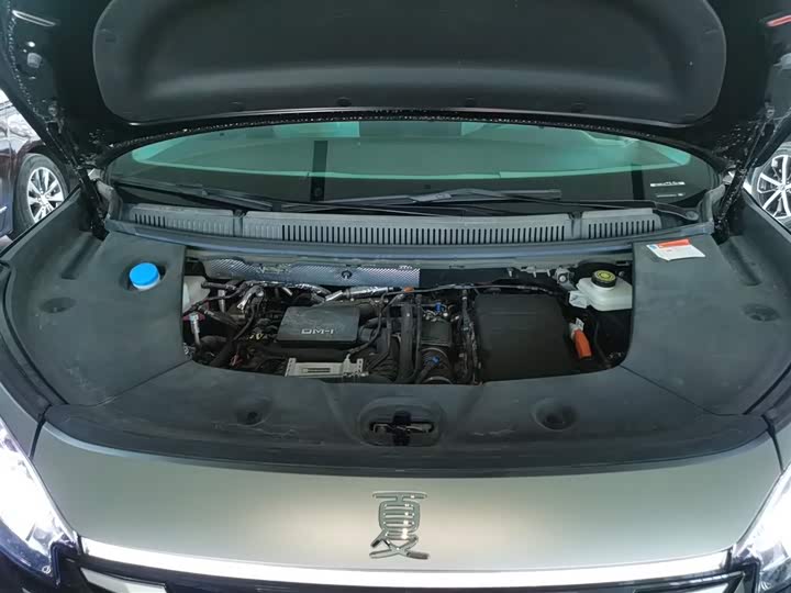 Фото 20 - BYD Xia