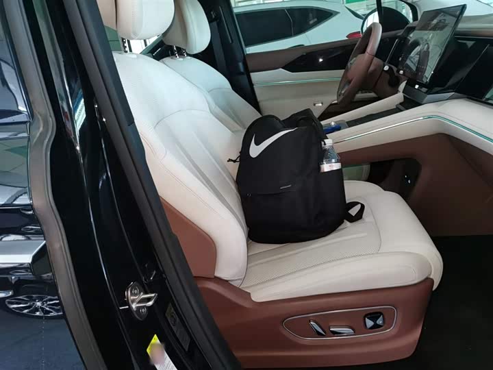 Фото 25 - BYD Xia