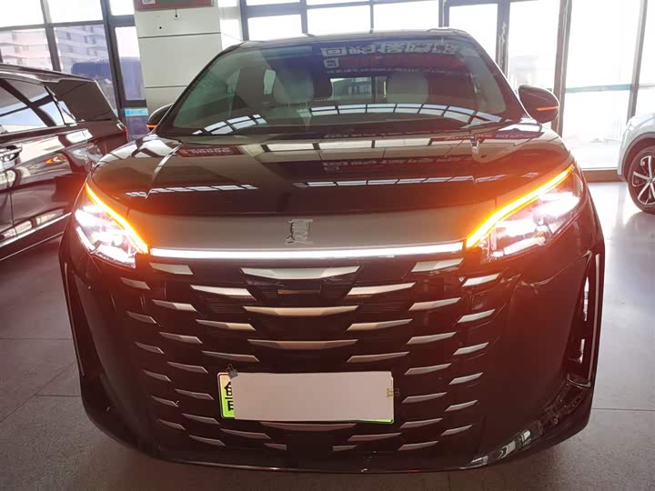 Фото 3 - BYD Xia