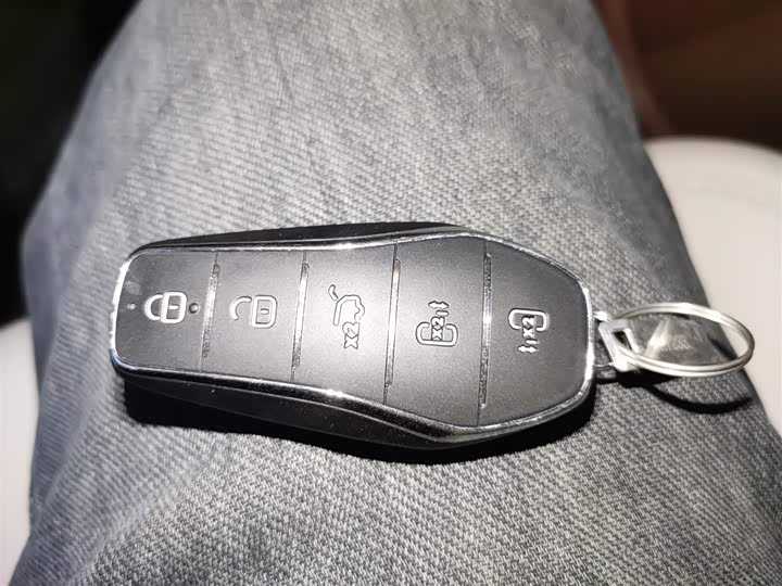 Фото 9 - BYD Xia