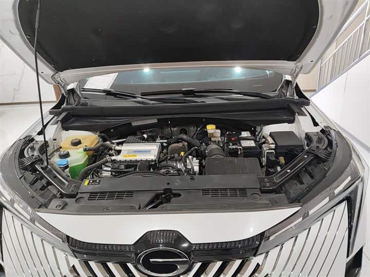 Фото 20 - GAC Trumpchi Emkoo
