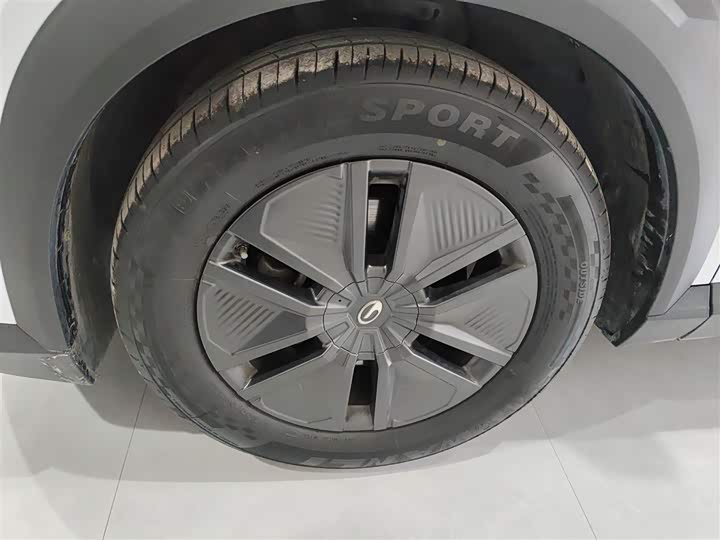 Фото 23 - GAC Trumpchi Emkoo