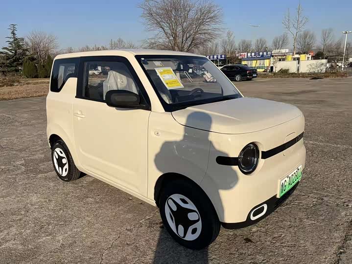 Фото 3 - Geely Galaxy Panda Mini