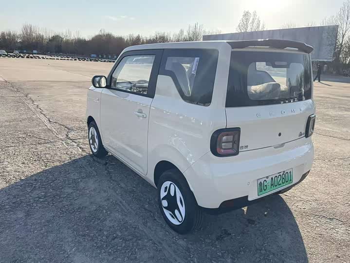 Фото 6 - Geely Galaxy Panda Mini