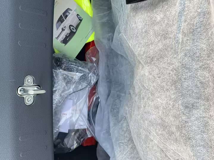 Фото 9 - Geely Galaxy Panda Mini