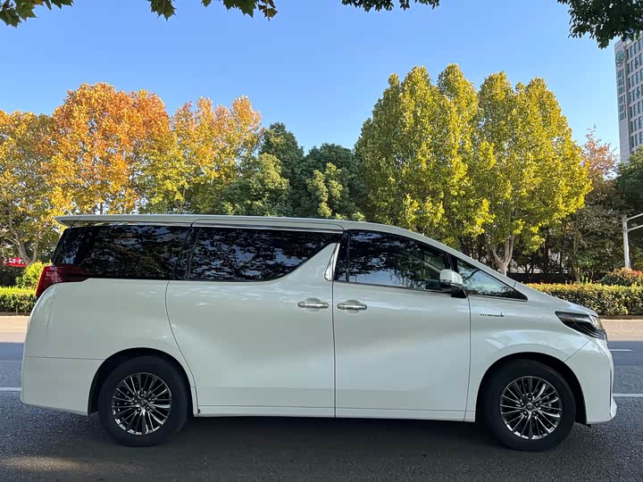 Фото 6 - Toyota Alphard