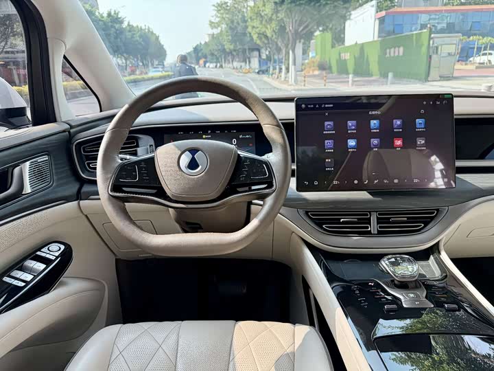 Фото 12 - Denza D9