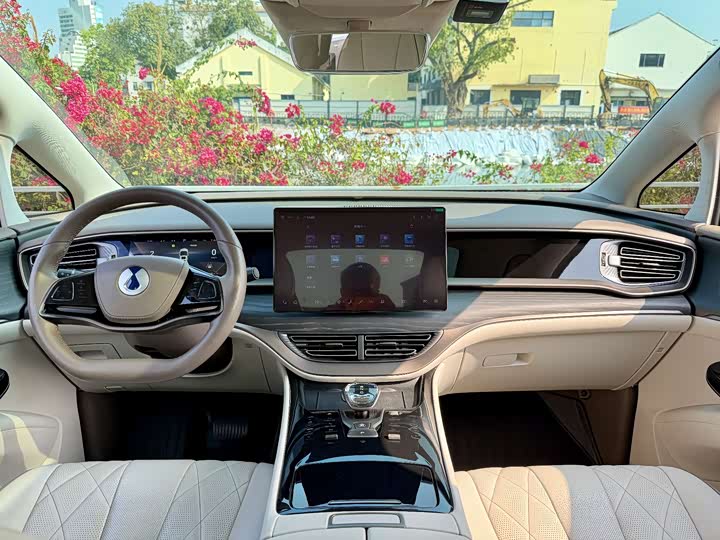 Фото 13 - Denza D9